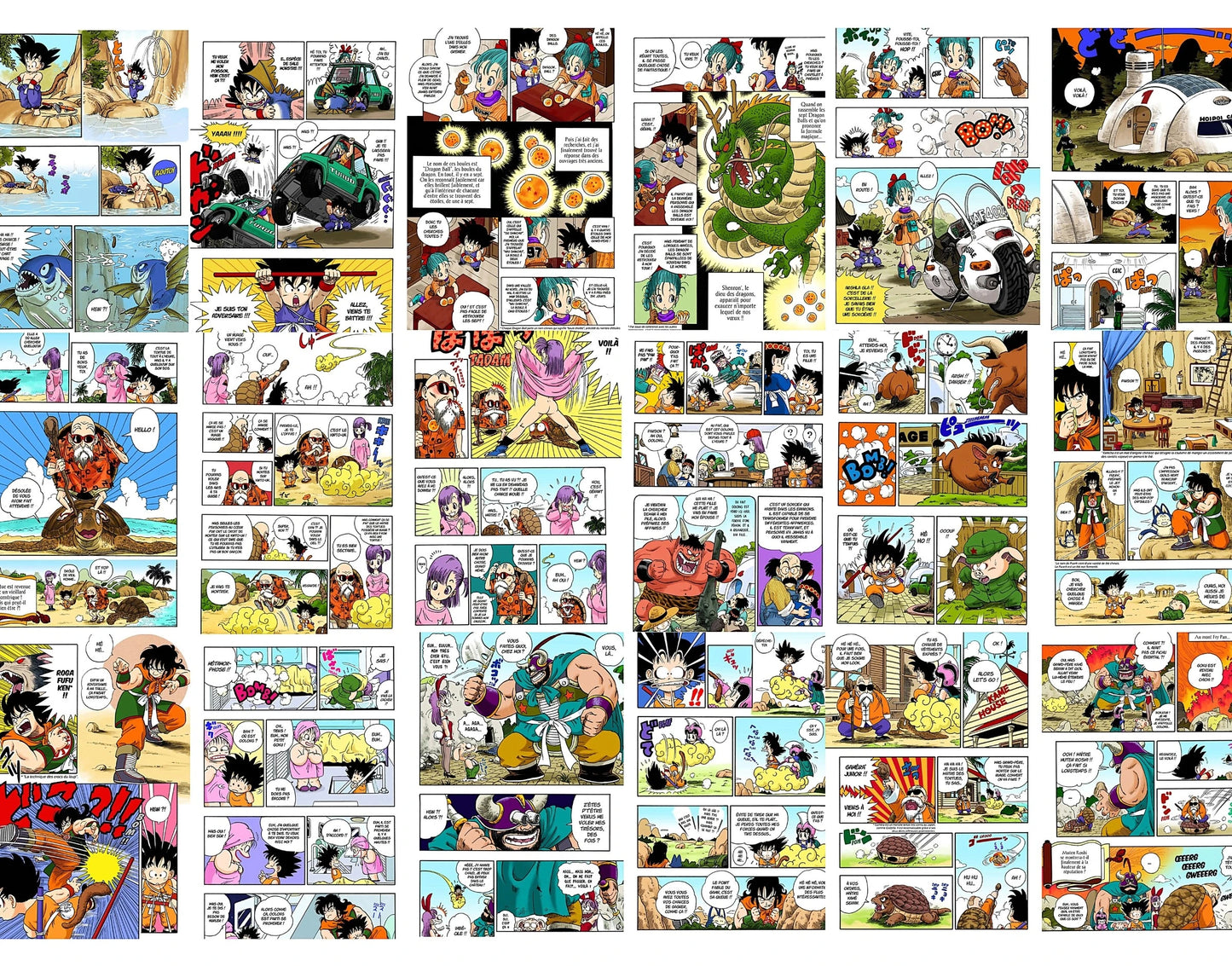 18 page du tome 1 du manga dragon ball