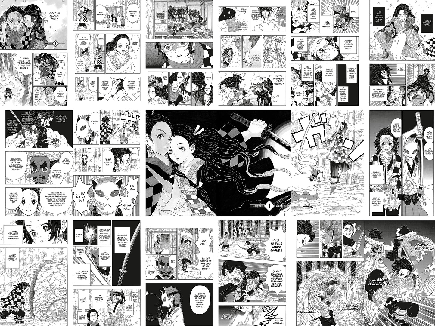 18 pages dont 1 double page du manga demon slayer
