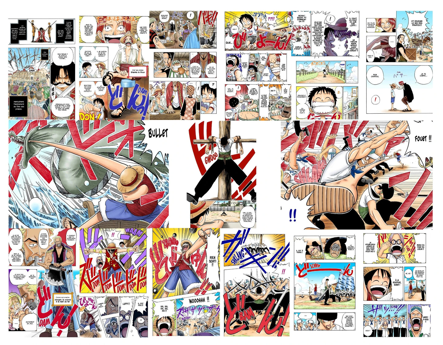 18 page dont 2 double pages du tome 21 du manga One piece