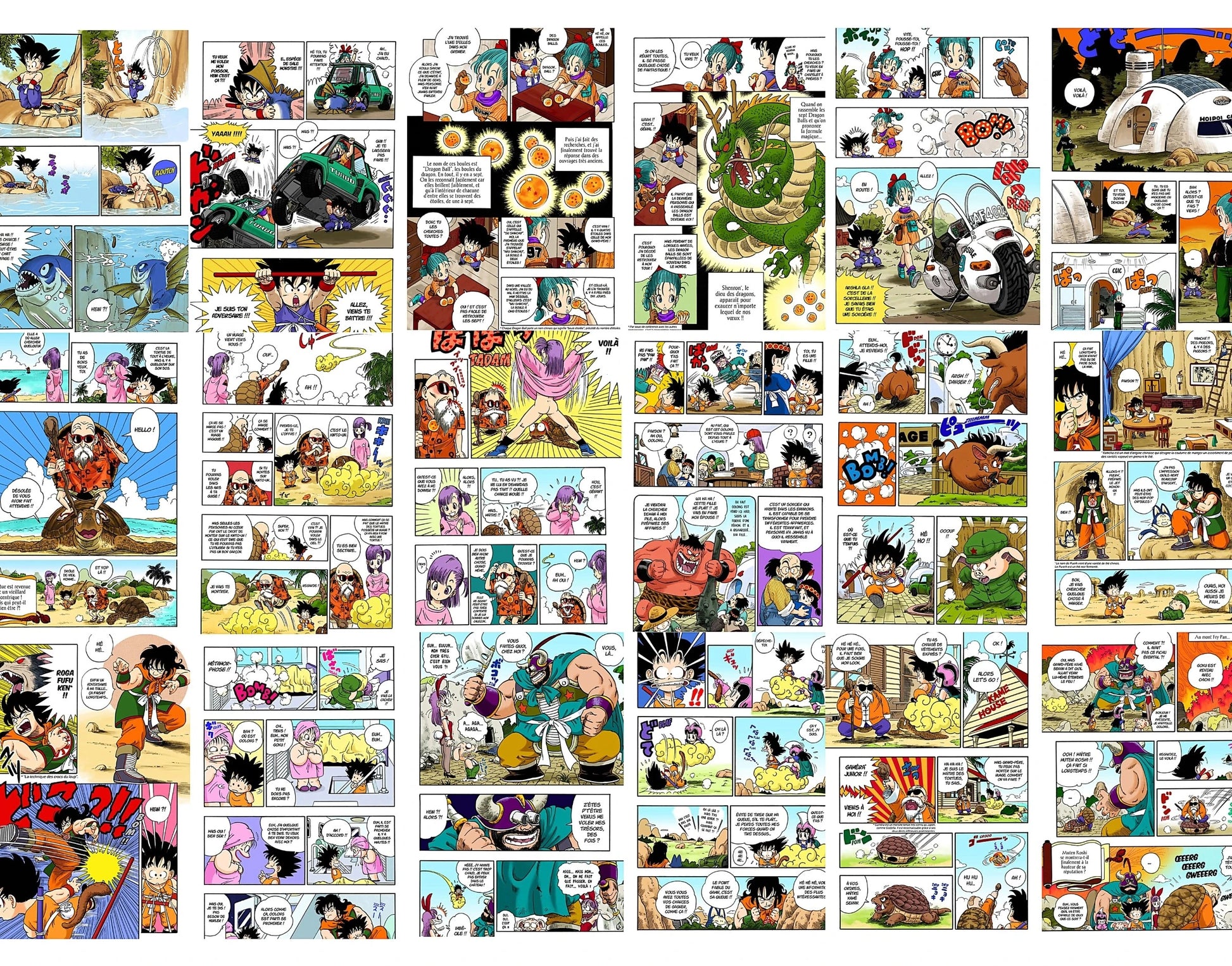 18 page du tome 1 du manga dragon ball