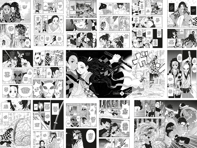 18 pages dont 1 double page du manga demon slayer
