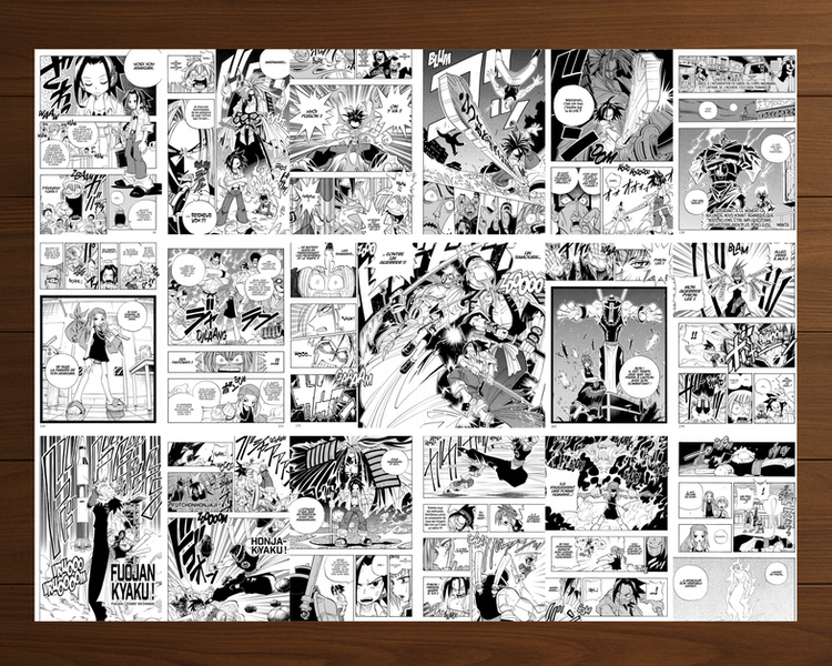 Shaman King - Tome 1