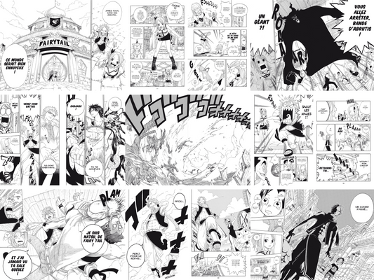 Fairy Tail - Tome 1