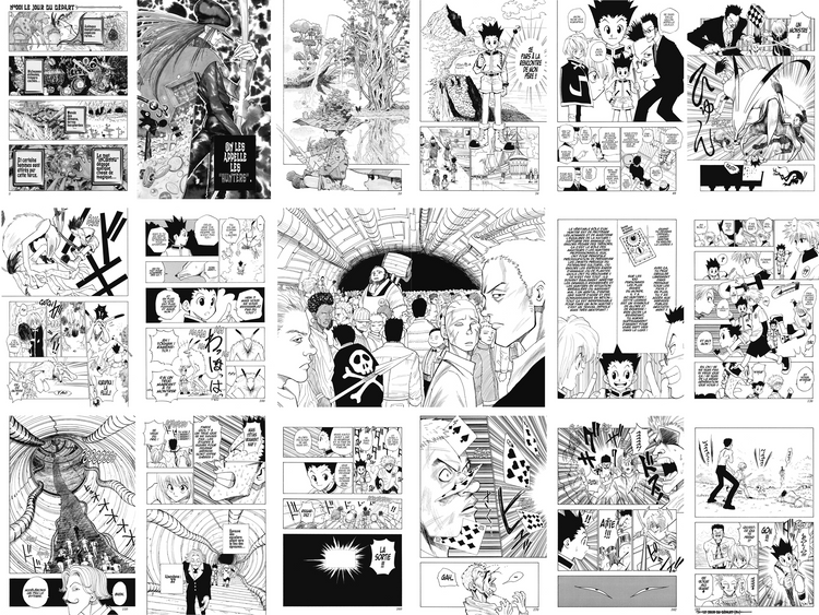 Hunter x Hunter - Tome 1