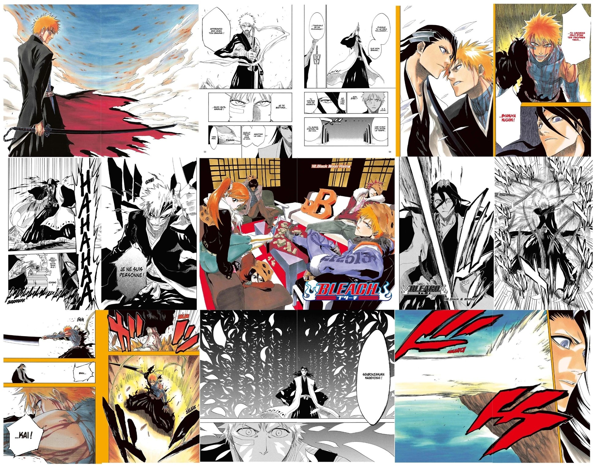 18 page dont cinq double page du tome 19 du manga bleach